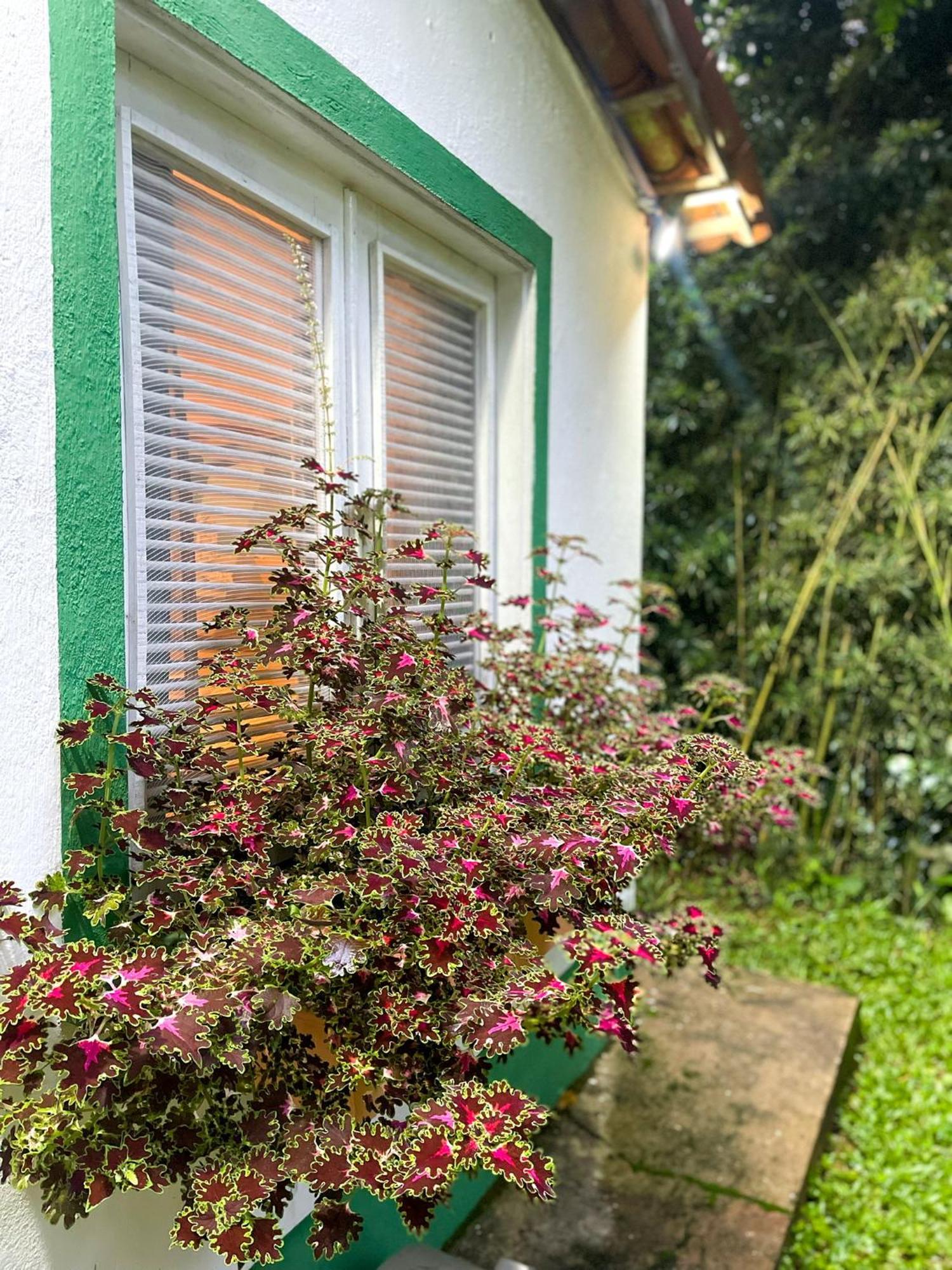 Olho D'Água Pousada Guaramiranga Exterior foto